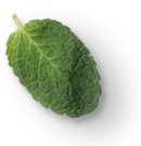 mint-leaves-1a.png